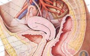 泌尿系统感染了怎么办?尿路感染吃什么药好得快 泌尿系统感染了怎么办?尿路感染吃什么药好得快