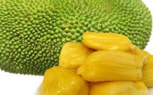 菠萝蜜的功效与作用及营养价值 不能和什么一起吃