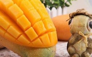 孕妇可以吃芒果吗？孕期吃芒果有什么好处