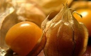 哥伦比亚龙珠果的营养价值及功效与作用 哥伦比亚龙珠果的营养价值及功效与作用