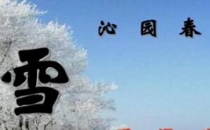 沁园春·雪原文的意思