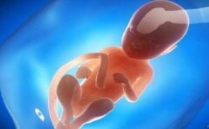 胎儿性别早知道 b超单怎么看男女