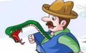 农夫和蛇的故事原文及寓意