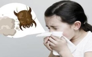 尘螨过敏与普通感冒相似,该如何分辨呢? 尘螨过敏与普通感冒相似,该如何分辨呢?