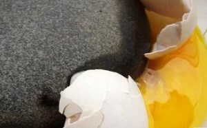 歇后语鸡蛋碰石头自不量力的寓言故事 歇后语鸡蛋碰石头自不量力的寓言故事