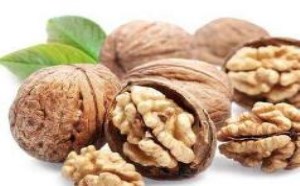 核桃的功效与作用是什么？