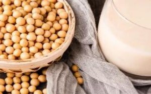 一杯豆浆要了孩子的命!煮豆浆需注意什么? 一杯豆浆要了孩子的命!煮豆浆需注意什么?