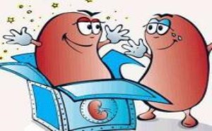 尿毒症早期症状及对人体的伤害 尿毒症早期症状及对人体的伤害