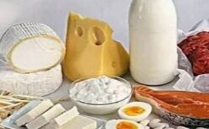 高蛋白食物有哪些 高蛋白食物有哪些