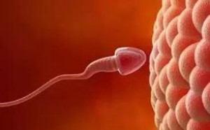 男人精子稀薄好还是浓稠好,哪种更易受孕? 男人精子稀薄好还是浓稠好,哪种更易受孕?
