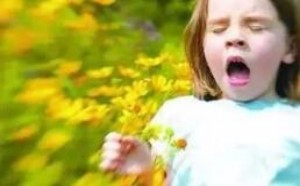 为什么会花粉过敏 对花粉过敏的症状表现 为什么会花粉过敏 对花粉过敏的症状表现