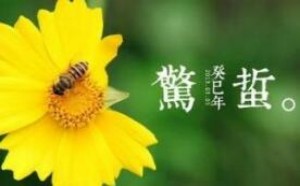 怀孕一个月怎么流产伤害最小