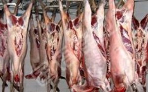 鹿肉怎么做好吃 红烧鹿肉的做法大全