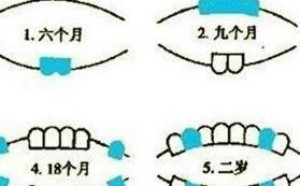 宝宝出牙顺序是怎样的 宝宝长牙顺序图