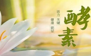 酵素的作用与功效有哪些? 酵素的作用与功效有哪些?