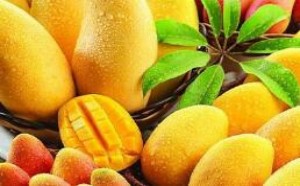 芒果不能和什么食物一起吃 芒果不能和什么食物一起吃