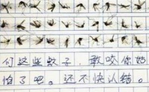 大学生60只蚊子写作文 夺走60条生命的女汉子