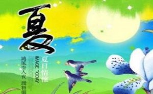 描写夏天的诗句有哪些 关于夏天的古诗