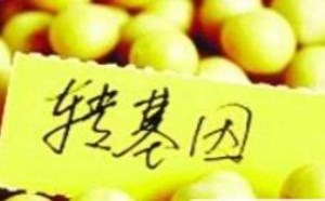 转基因食品有哪些,对人体有哪些危害 转基因食品有哪些,对人体有哪些危害