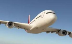 带孩子坐飞机流程及注意事项