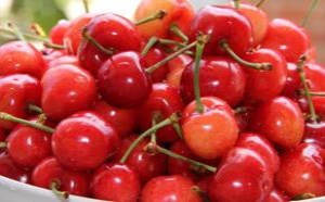 樱桃有虫还能吃吗 樱桃里的虫子到底是什么