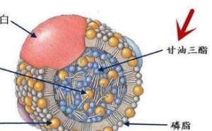 甘油三酯高是怎么回事吃什么药好 甘油三酯高是怎么回事吃什么药好