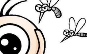 被蚊子咬了怎么消肿止痒最快偏方 