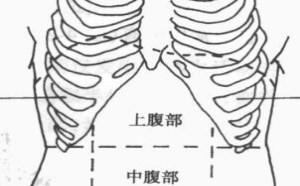 腹部九区分法是如何划分的 腹部九分法图片器官图 腹部九区分法是如何划分的 腹部九分法图片器官图