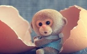 鸡蛋壳有什么妙用之处 鸡蛋壳有什么妙用之处