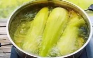 煮玉米需要多长时间 煮玉米的诀窍 煮玉米需要多长时间 煮玉米的诀窍