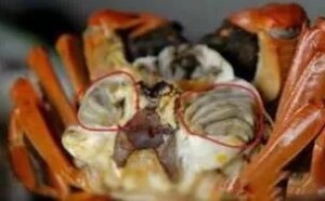 螃蟹怎么吃图解 4个部位不能吃
