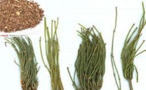 麻黄碱可以增强性欲 对性功能有哪些影响 麻黄碱可以增强性欲 对性功能有哪些影响