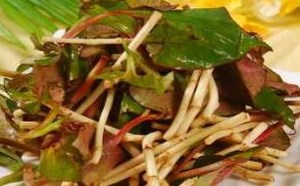 孕妇能吃鱼腥草根吗