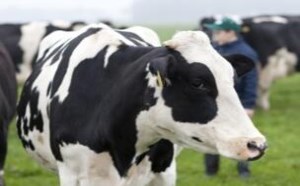 想要给宝宝吃美素佳儿奶粉，这些事你了解吗？