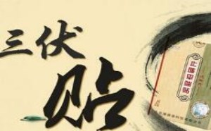 三伏贴的作用与功效