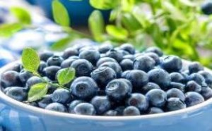 孕妇可以吃蓝莓吗 孕妇吃蓝莓的好处