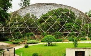 雅加达是哪个国家的首都 