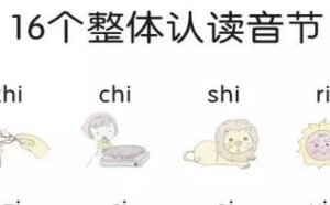 16个整体认读音节图片及分类