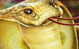 梦见蛇是什么意思周公解梦梦见