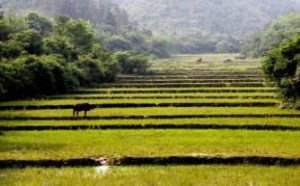 一亩等于多少平方米怎么算出