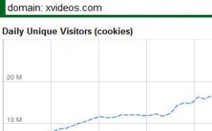 色情网站大小和规模:前500名访问量竟数10个成人网站 色情网站大小和规模:前500名访问量竟数10个成人网站