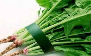 菠菜不能和什么一起吃/同吃 菠菜不能和什么一起吃/同吃