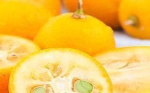 金桔的功效与作用有哪些 金桔的功效与作用有哪些