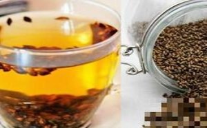 决明子的功效与作用及禁忌 决明子的功效与作用及禁忌