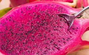 火龙果上火吗 火龙果的功效与作用 火龙果上火吗 火龙果的功效与作用