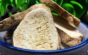 白术的功效与作用是什么 白术的功效与作用是什么