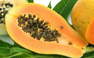 木瓜怎么吃好吃又营养最简单的方法 木瓜怎么吃好吃又营养最简单的方法