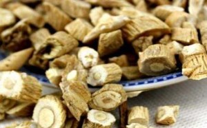 板蓝根的功效与作用都有哪些 板蓝根的功效与作用都有哪些