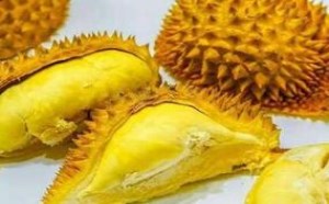 榴莲的营养价值及功效与作用