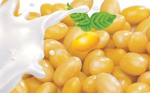 大豆异黄酮有哪些功效与作用 大豆异黄酮有哪些功效与作用